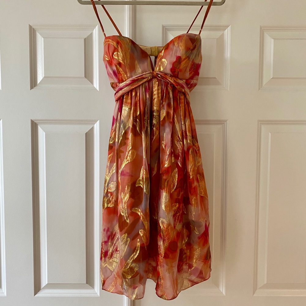 Nicole Miller Lava Dress